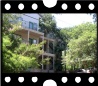 Property Back View
